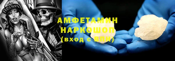 гашик Алексин