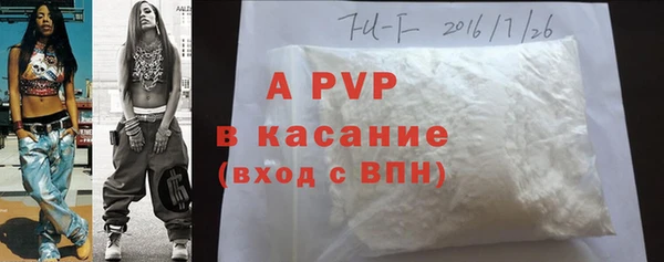 шишки Аркадак