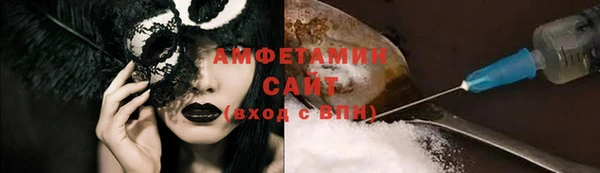 шишки Аркадак
