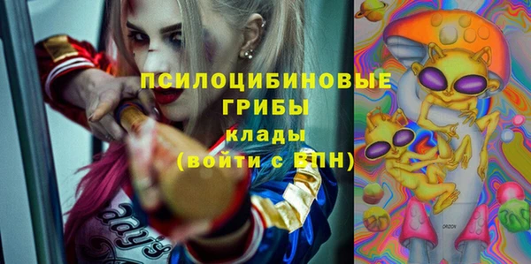 соль ск Алзамай