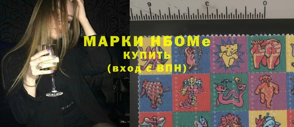 гашик Алексин