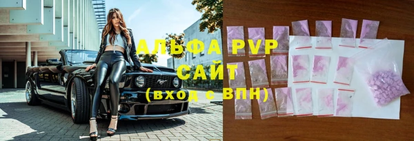 гашик Алексин