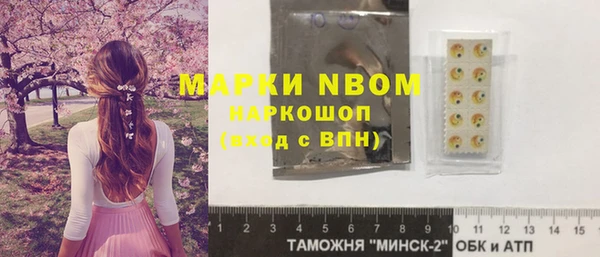 шишки Аркадак